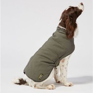 L.L. Bean Reversible Field Coat for Dogs (medium)